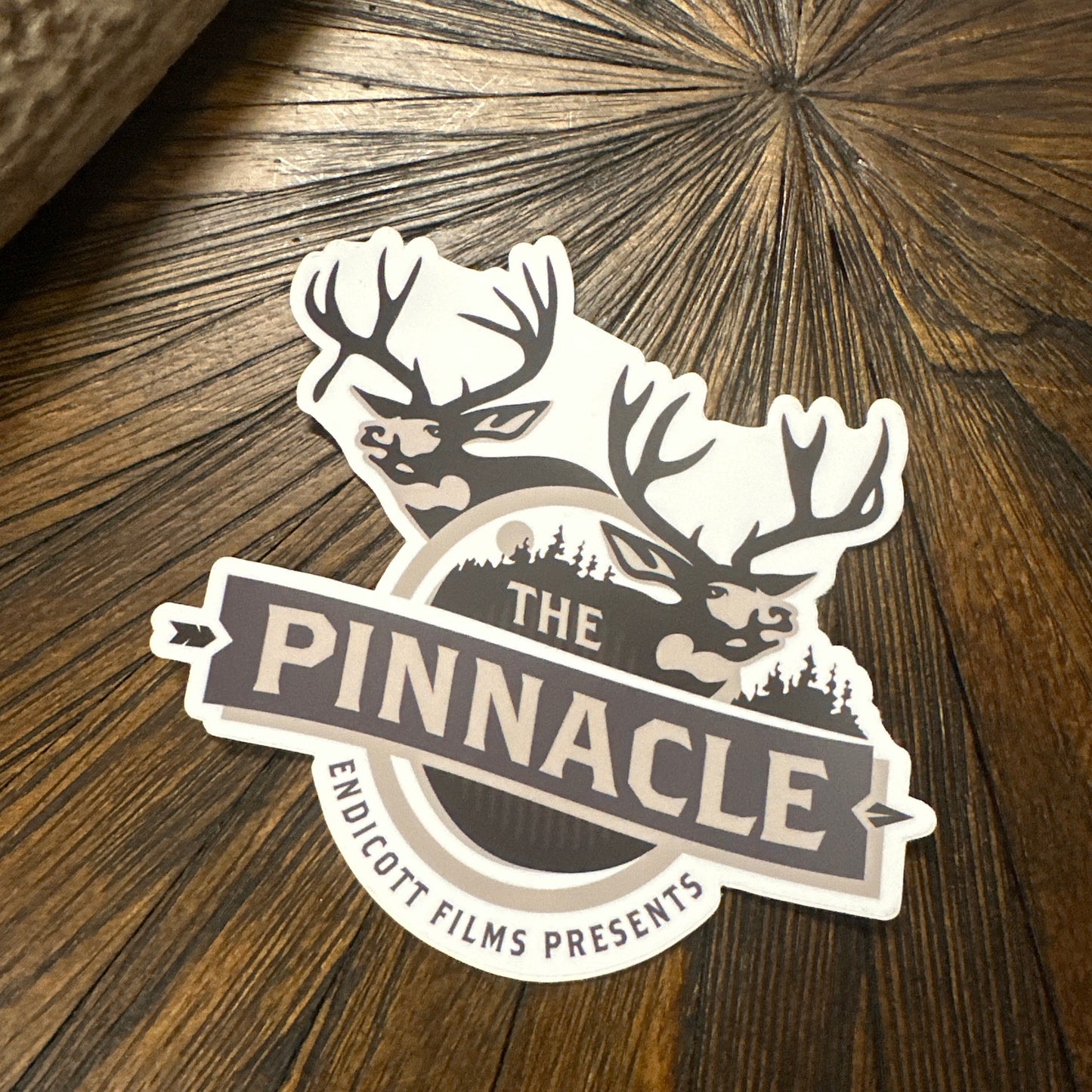Endicott Films Pinnacle Decal (2 decals)